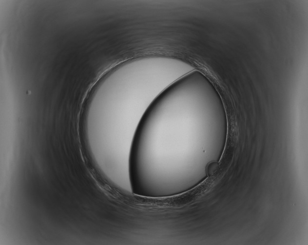 X0000086760626200704130815