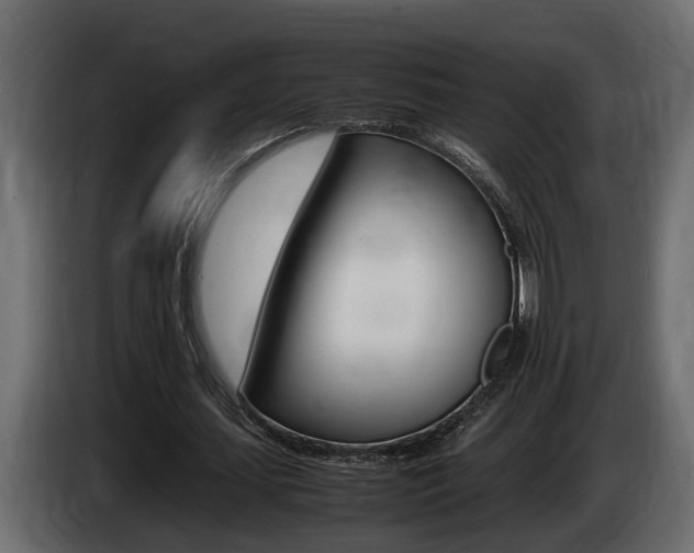 X0000086760627200704130815