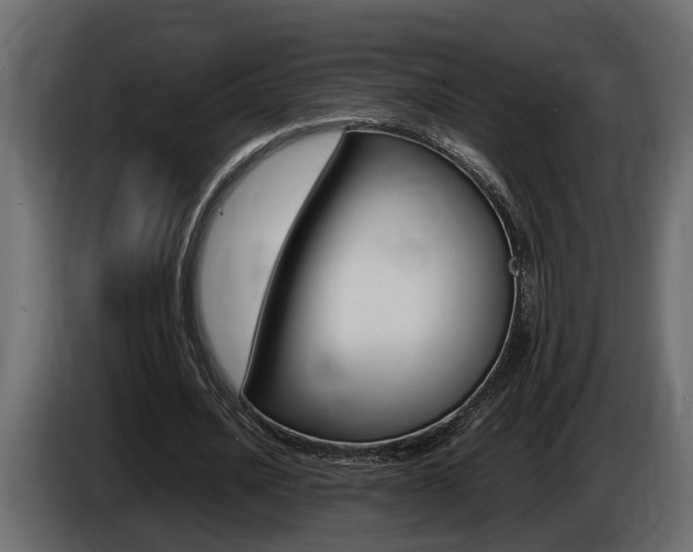 X0000086760628200704130815