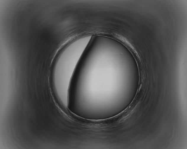X0000086760629200704130815