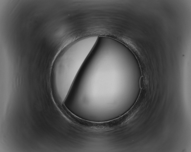 X0000086760630200704130815
