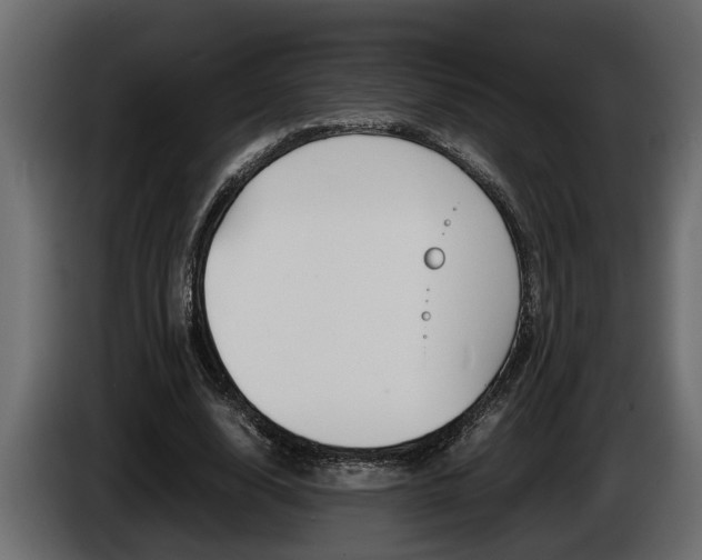 X0000086760632200704130815