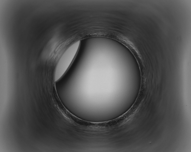 X0000086760633200704130815