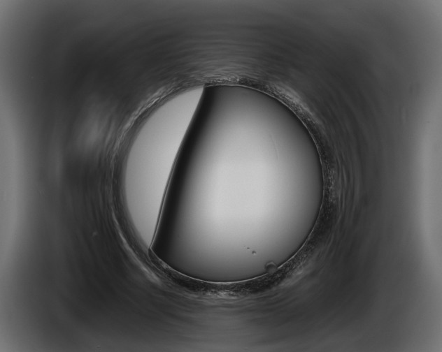 X0000086760634200704130815
