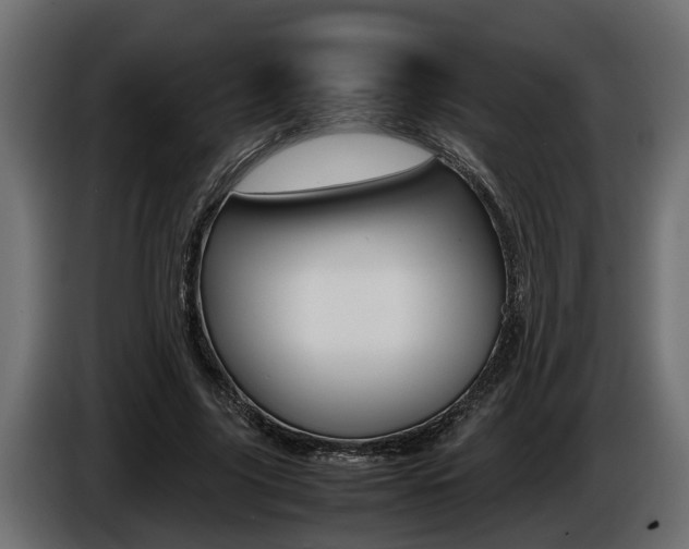 X0000086760635200704130815