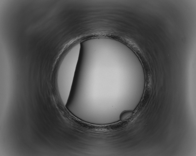 X0000086760636200704130815