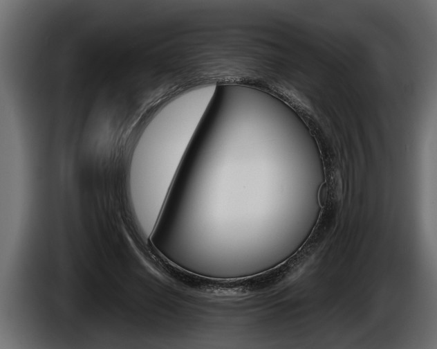 X0000086760638200704130815