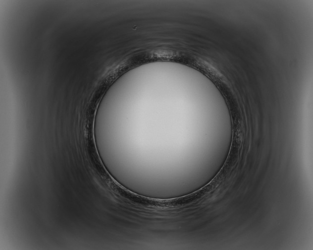 X0000086760639200704130815