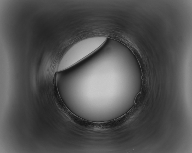 X0000086760641200704130815
