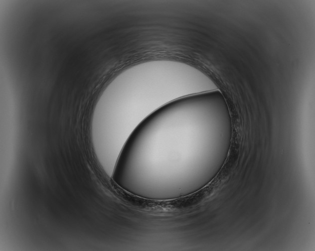 X0000086760642200704130815