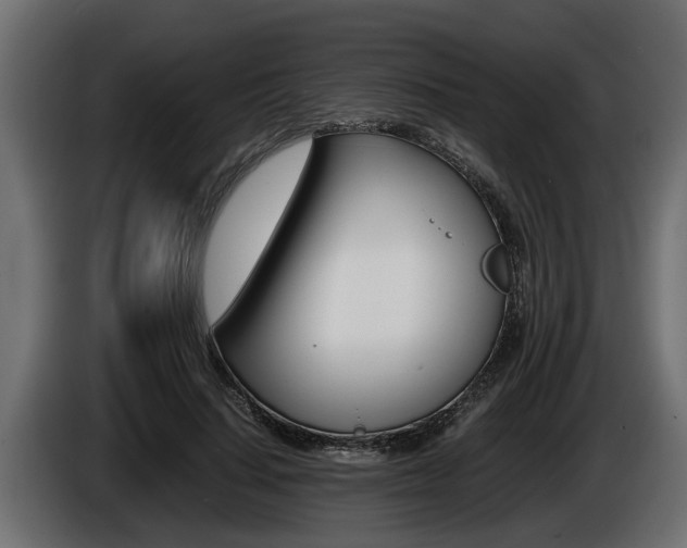 X0000086760644200704130815
