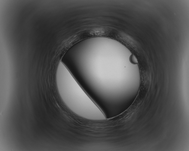 X0000086760645200704130815