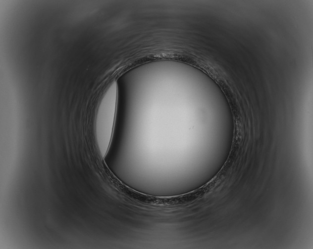 X0000086760648200704130815