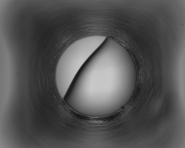 X0000086760650200704130815