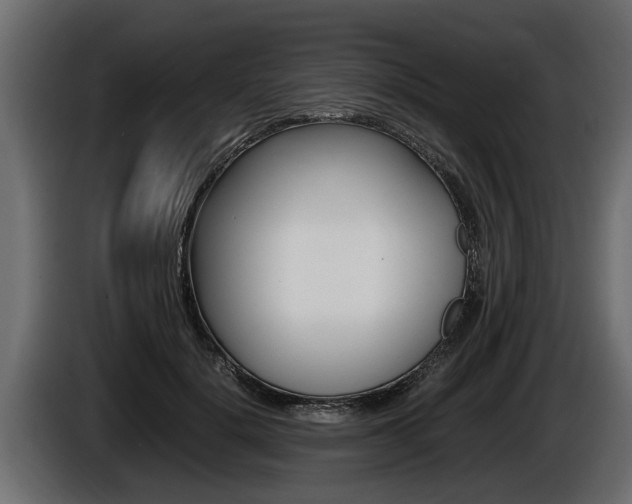 X0000086760652200704130815