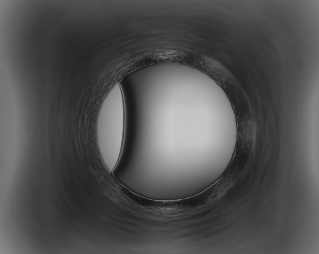 X0000086760653200704130815