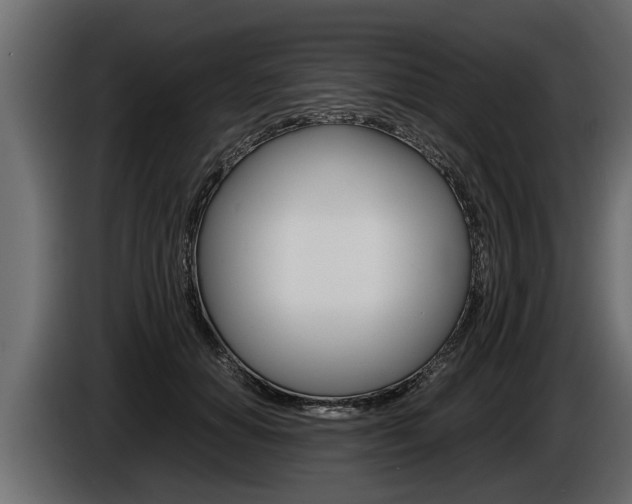 X0000086760654200704130815