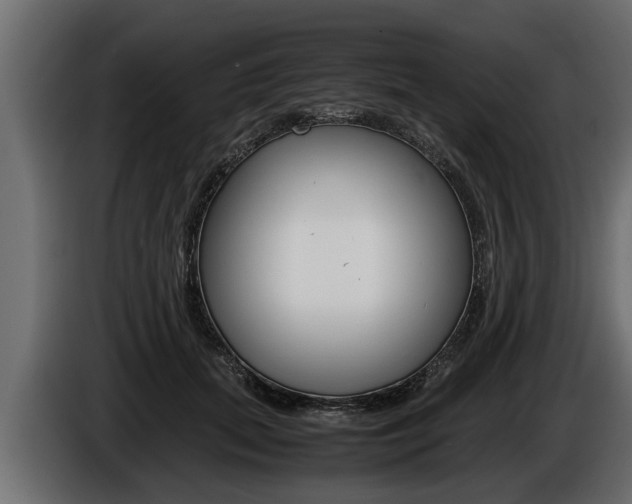 X0000086760655200704130815