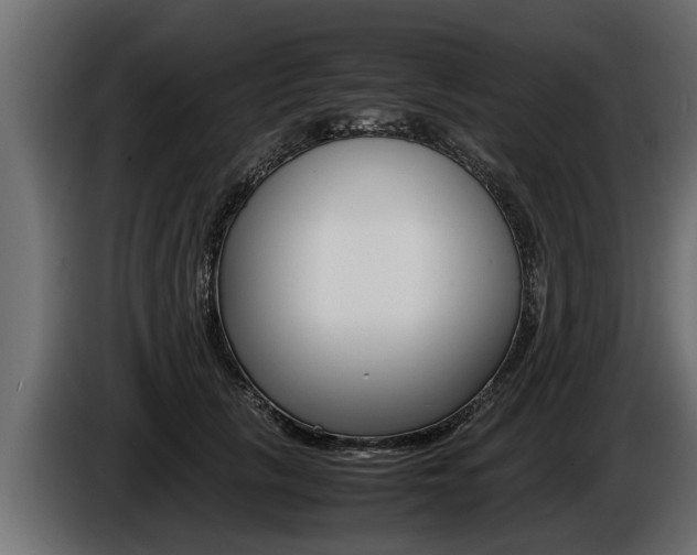 X0000086760657200704130815