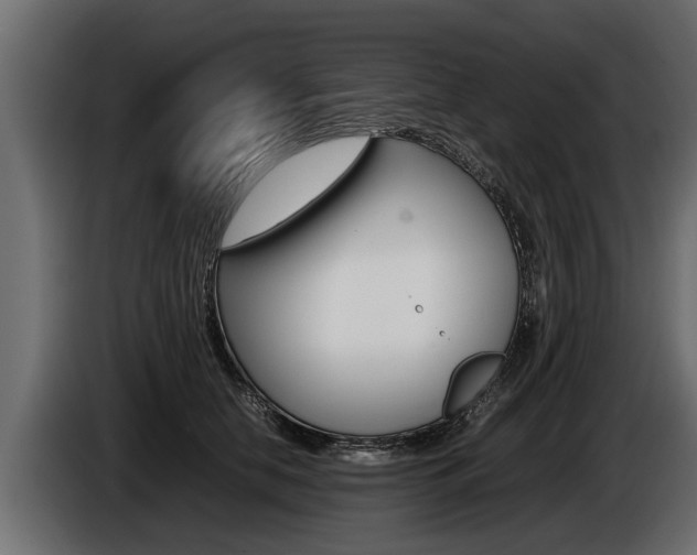 X0000086760658200704130816