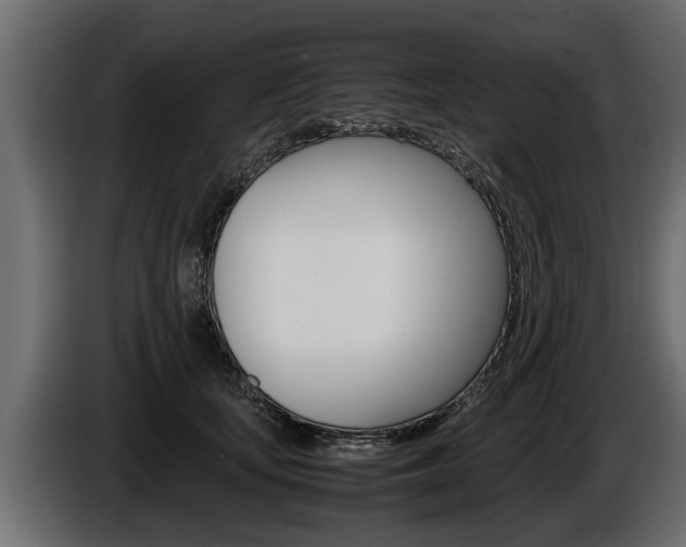 X0000086760659200704130816