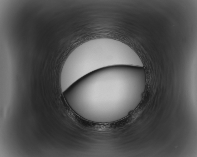 X0000086760660200704130816