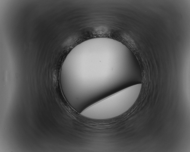 X0000086760662200704130816