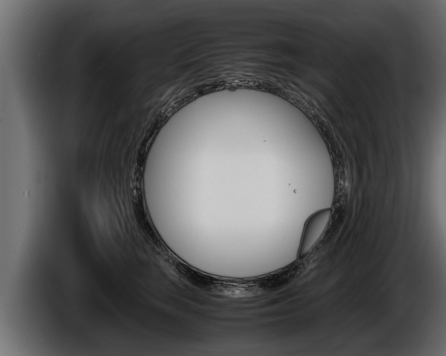 X0000086760663200704130816