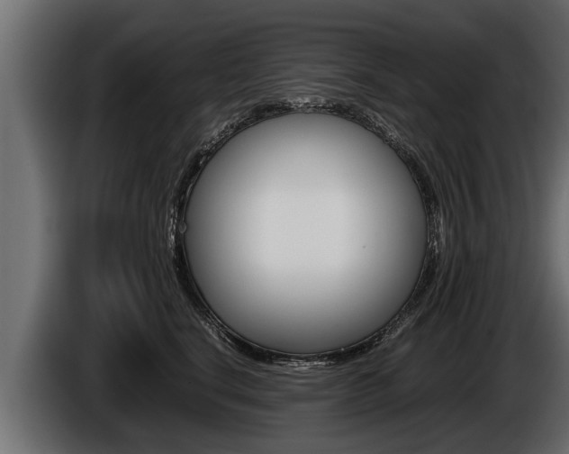 X0000086760664200704130816