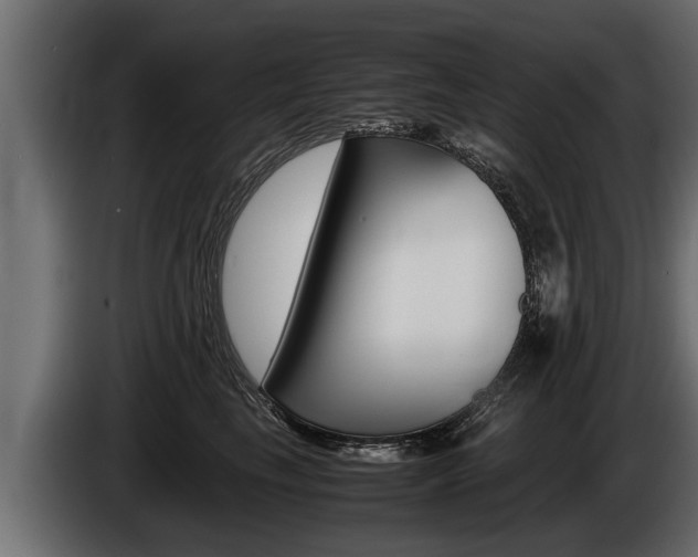 X0000086760665200704130816