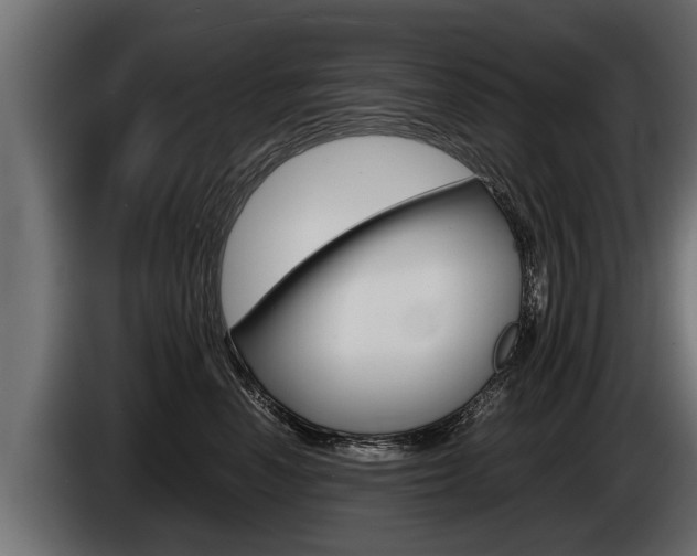 X0000086760666200704130816