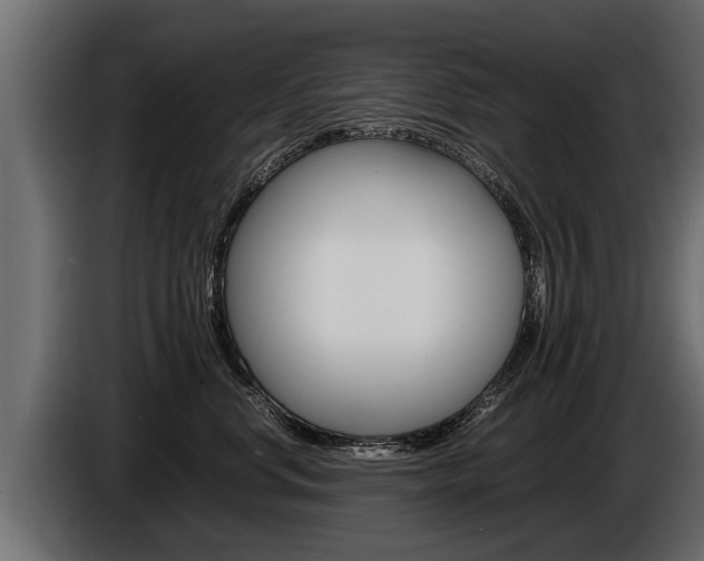 X0000086760668200704130816