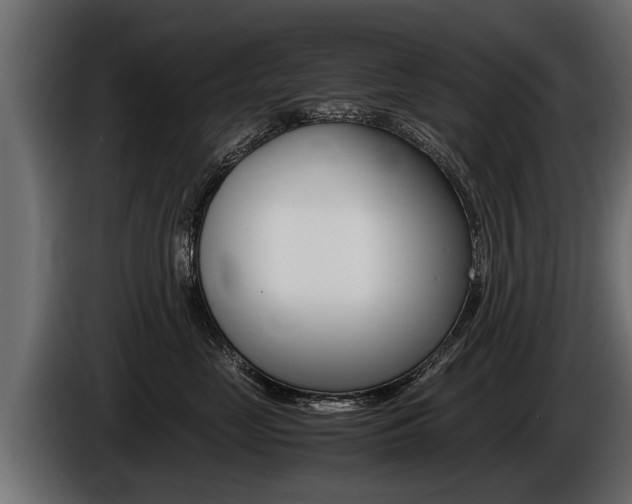 X0000086760669200704130816