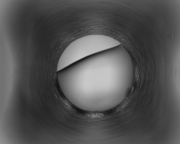 X0000086760670200704130816