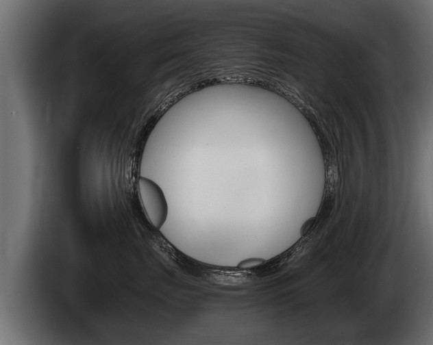 X0000086760671200704130816