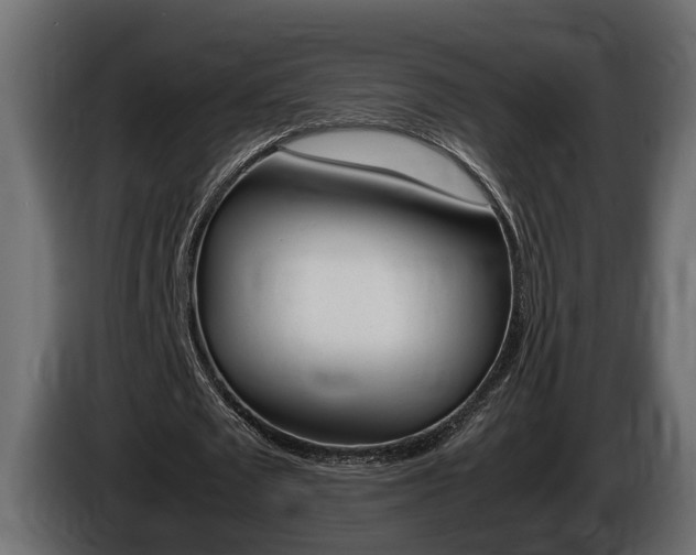 X0000086760673200704130815