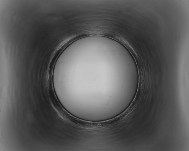 X0000086760674200704130815