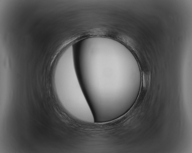 X0000086760675200704130815