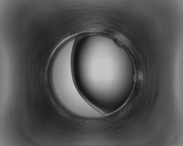 X0000086760676200704130815