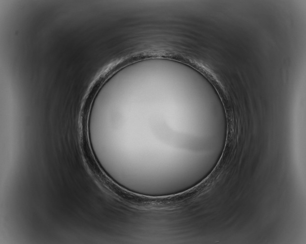 X0000086760678200704130815