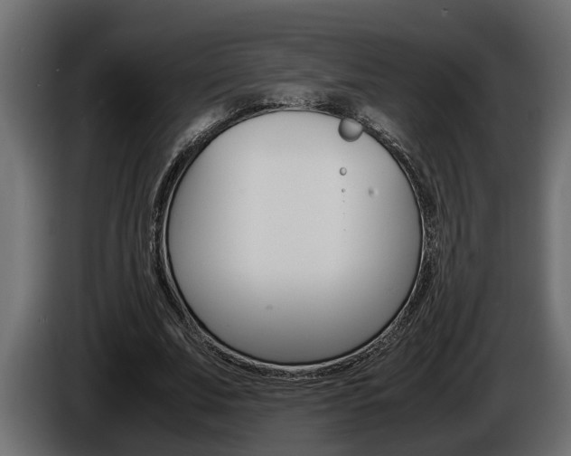 X0000086760679200704130815