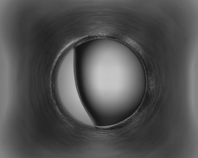 X0000086760680200704130815