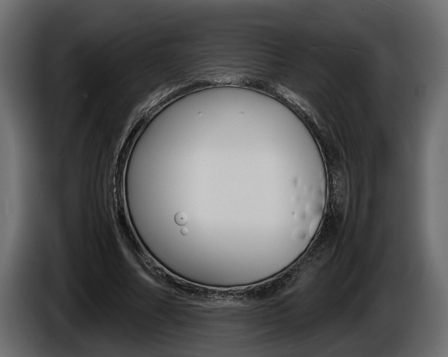 X0000086760682200704130815