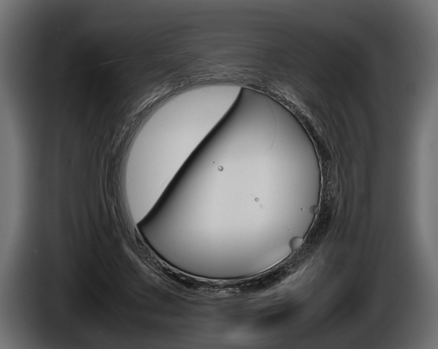 X0000086760683200704130815