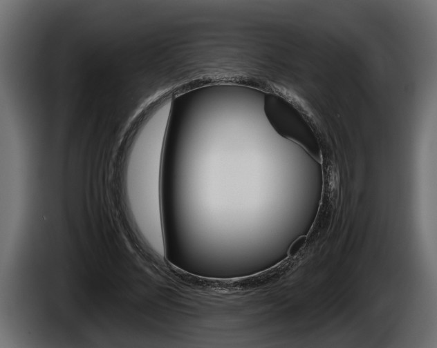 X0000086760684200704130815