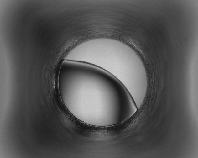 X0000086760685200704130815