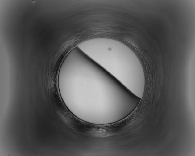 X0000086760687200704130815