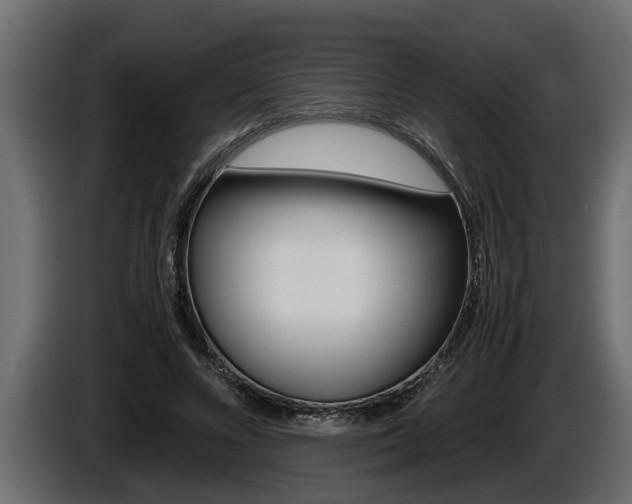 X0000086760688200704130815