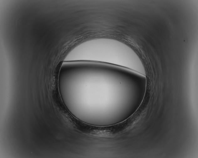 X0000086760689200704130815