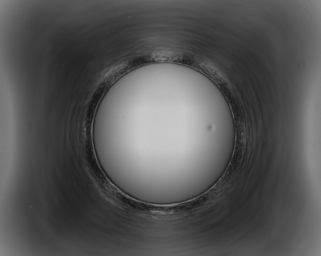 X0000086760690200704130815